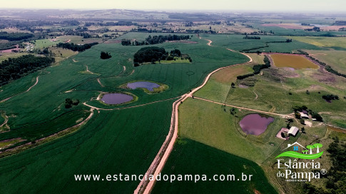 INICIO 3.00_02_15_08.Quadro021_89d54cd88ceb07ab07b9224bf7f496ed6488496c.jpg